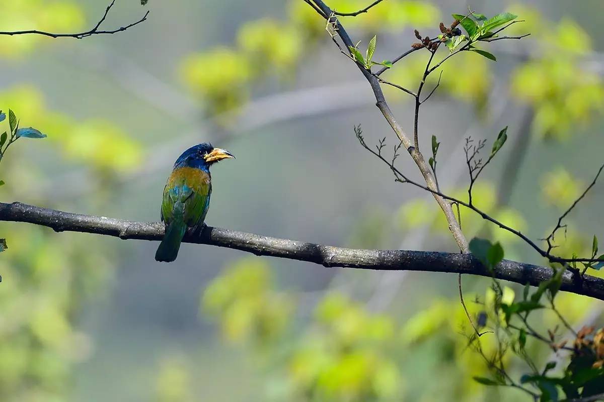 fd65900da9e64305828cf77ba8985507_th.png fd65900da9e64305828cf77ba8985507_th.png